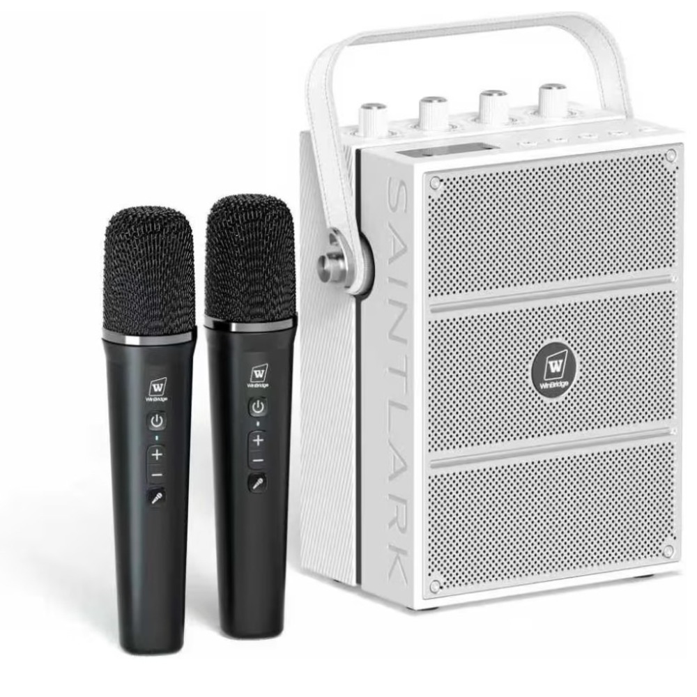 Windbridge S99 100W Portable Karaoke Machine Amplifier PA Speaker Wireless Mics